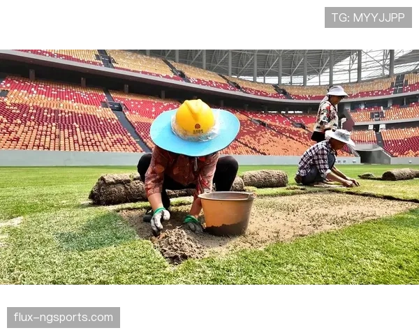 草坪场地规则拆解：足球比赛对草坪的具体标准有哪些？