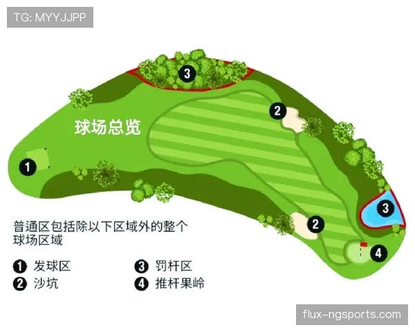 挑战判罚规则是什么？权威解读其判定标准与球场影响