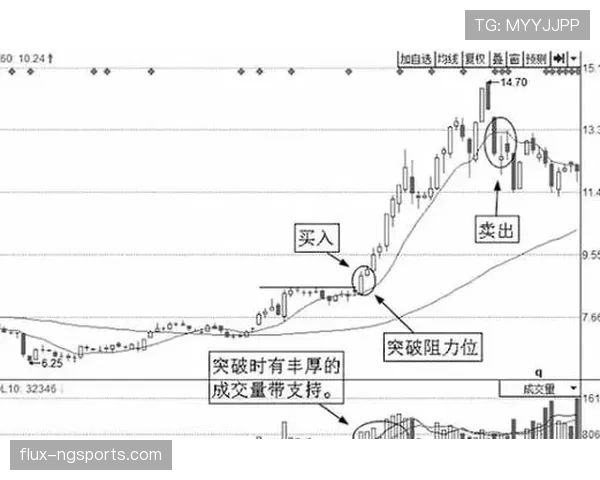 E组黑马机会与风险分析